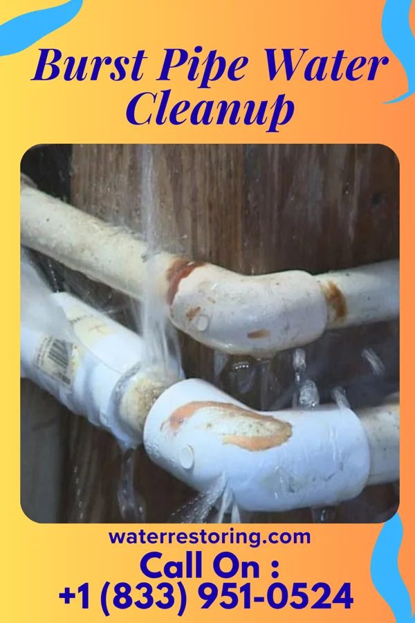 Burst Pipe Water Cleanup in Riegelsville, PA