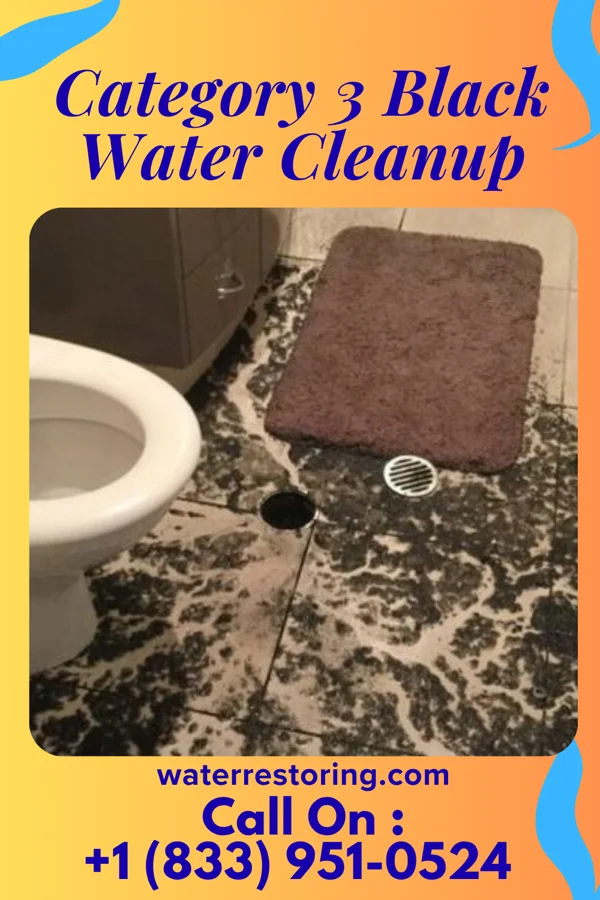 Category 3 Black Water Cleanup in Riegelsville, PA
