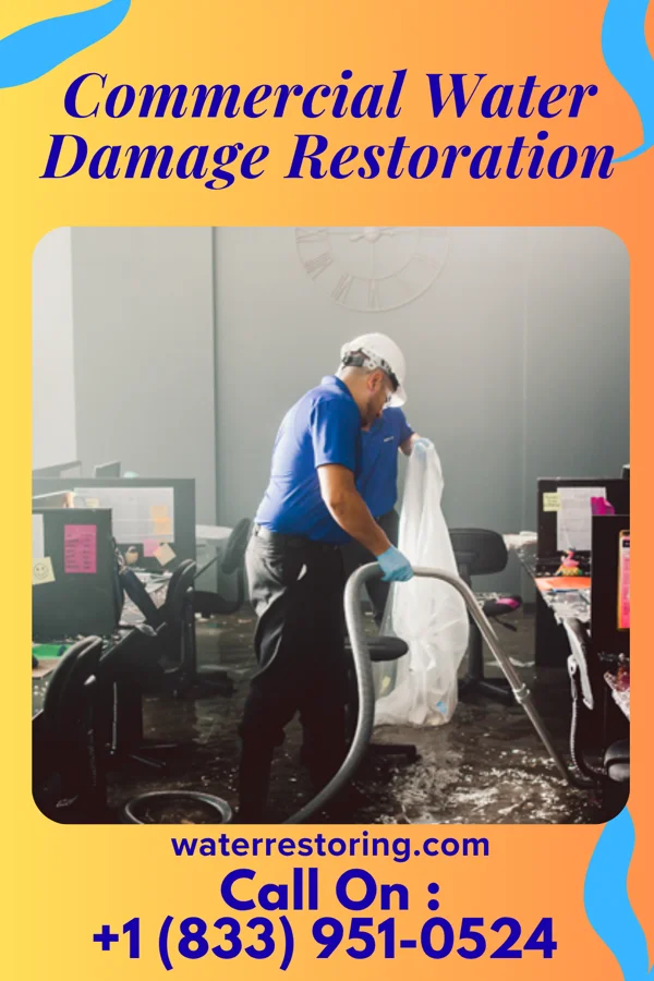 Commercial Water Damage Restoration in Riegelsville, PA
