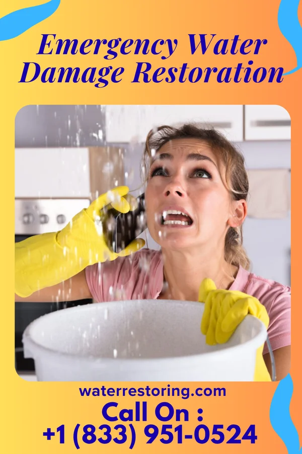 Emergency Water Damage Restoration in Riegelsville, PA