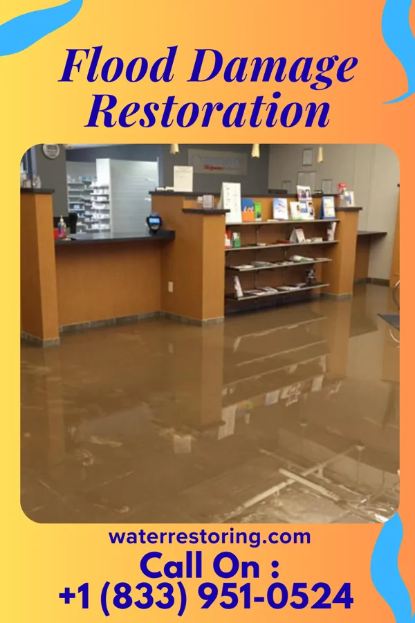 Flood Damage Restoration in Riegelsville, PA