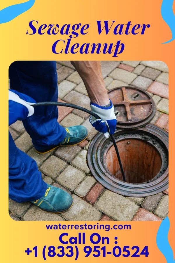 Sewage Water Cleanup in Riegelsville, PA