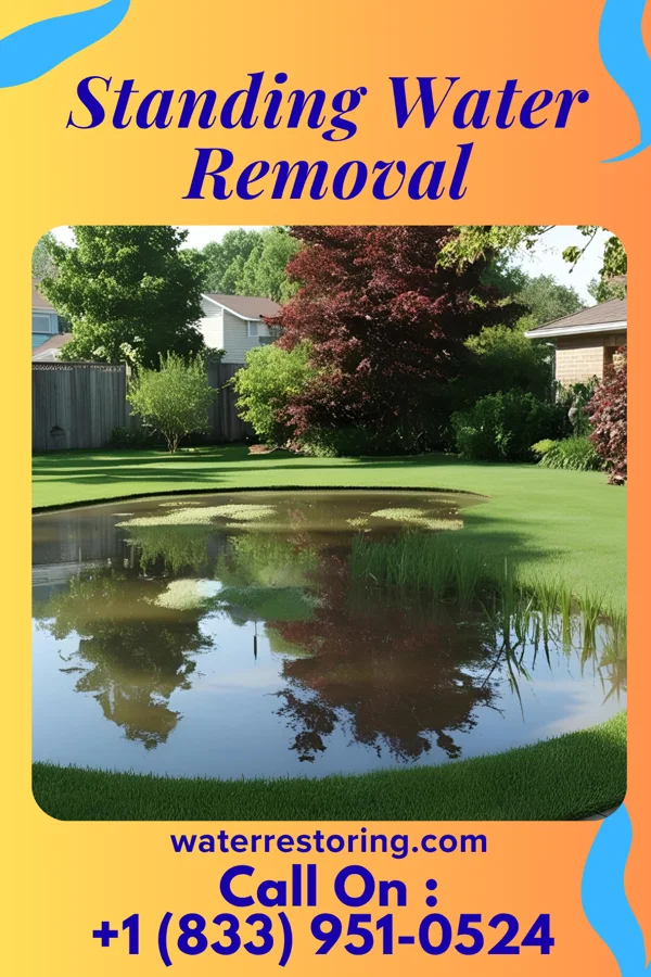 Standing Water Removal in Riegelsville, PA